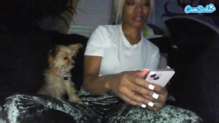 tastethepeach