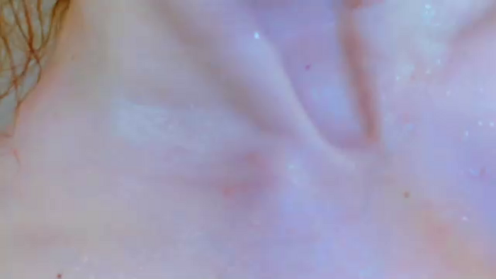 Sofia_Reginald