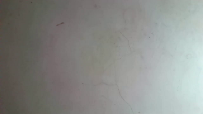 CarieBelle88