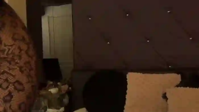 2024/11/28/cams-emma_shy-01-01-00