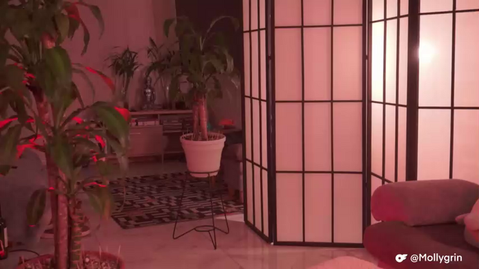 kittymolly_