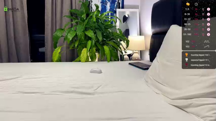 alexyork