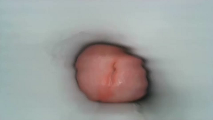 jeffrodgerschaturbat