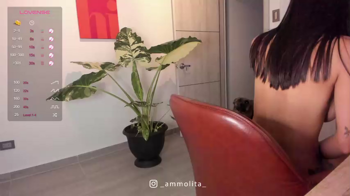_tef_1