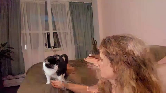 katekacao