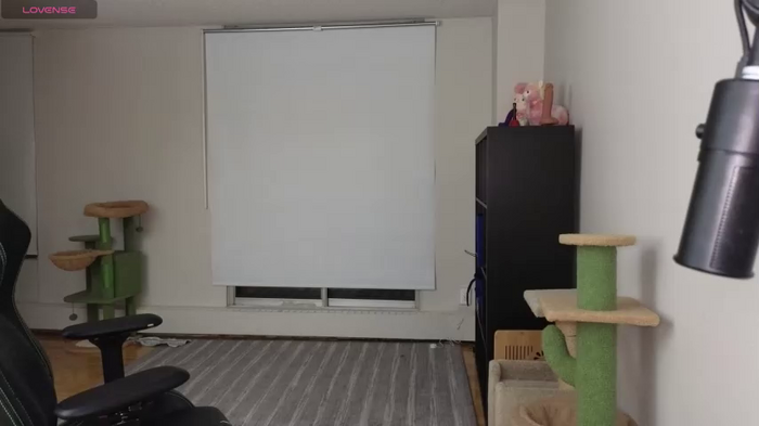 alexa_dream