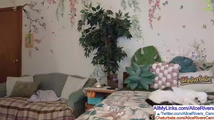 aliceriverscam