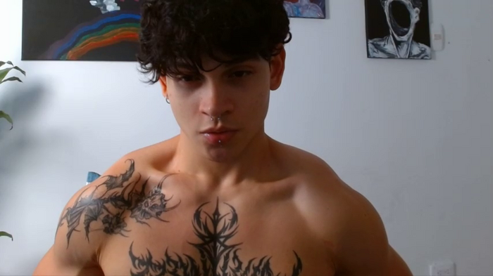 fit_prince_