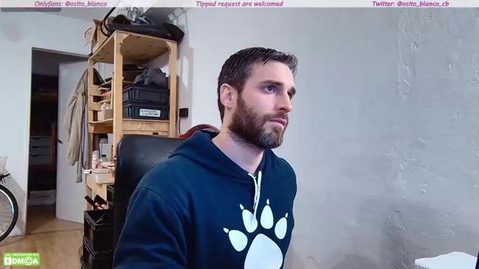 osito_blanco