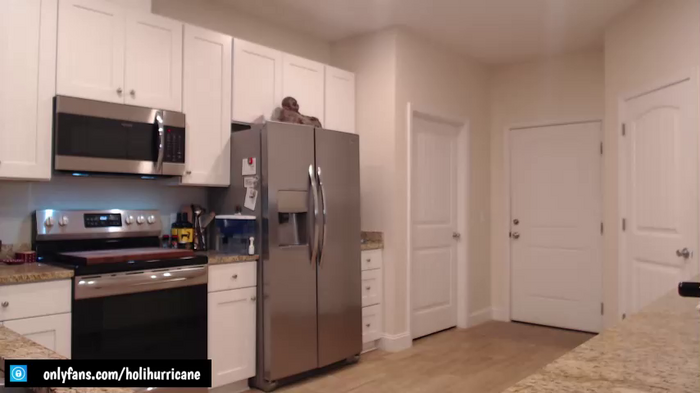 holihurricane