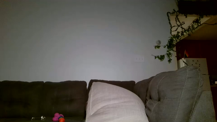 switchykitty
