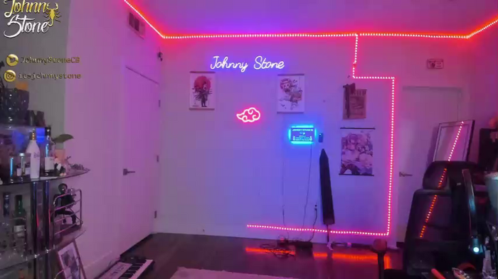 thejohnnystone