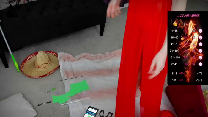 foxy_gamer