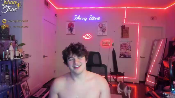 thejohnnystone