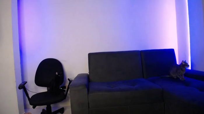 xxxvandersexxx