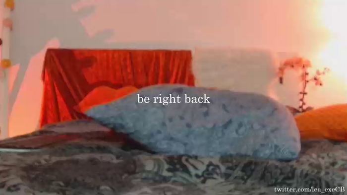 lea_exe