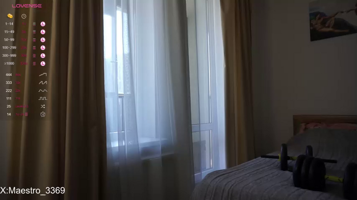 maestro3369