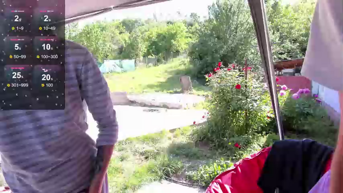 danamily