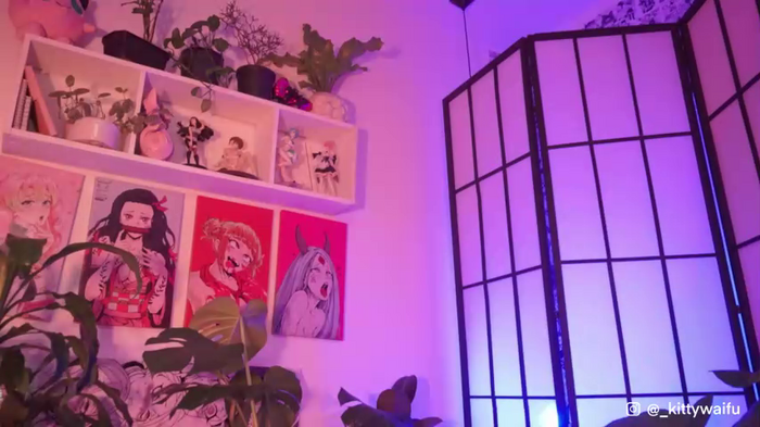kittymolly_