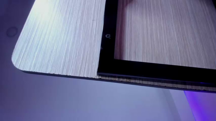 bella_adams_