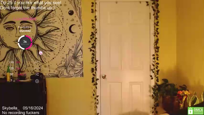 skybella_