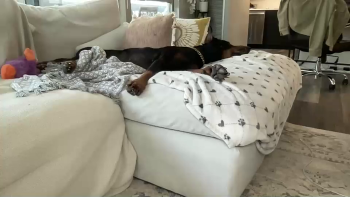 graciemae_baexx