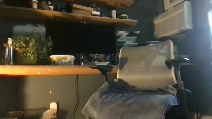 cjbbear