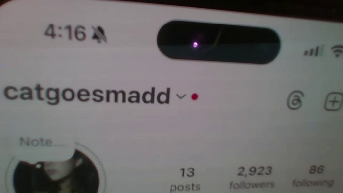 avangelinefunn99