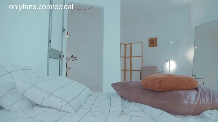 ocicat
