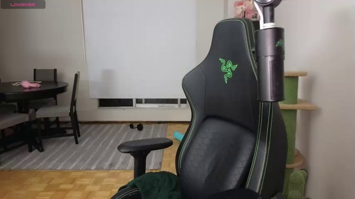 alexa_dream