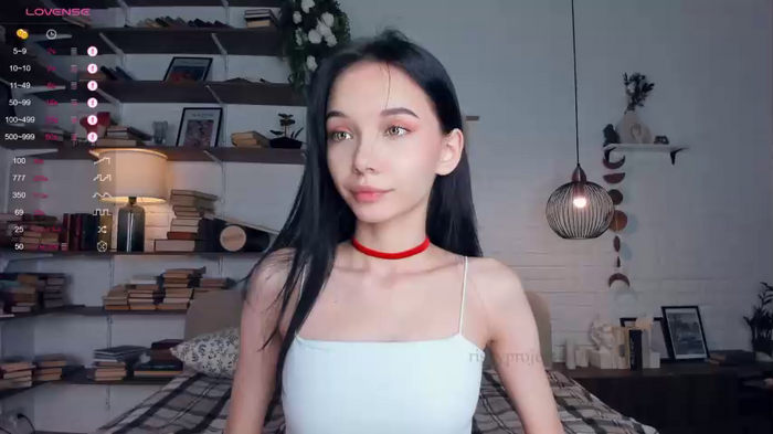 riskyproject