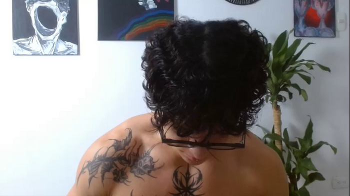 fit_prince_