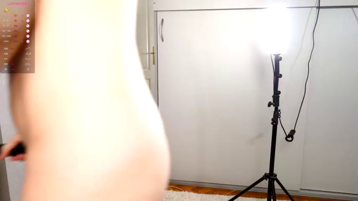 foxeslovefoxes