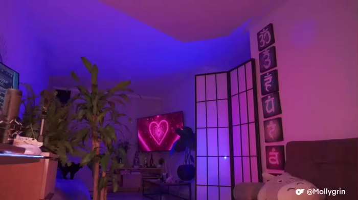 kittymolly_