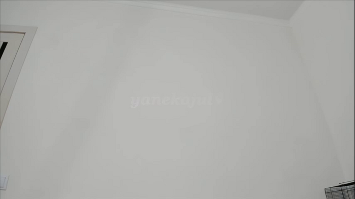 yanekajul