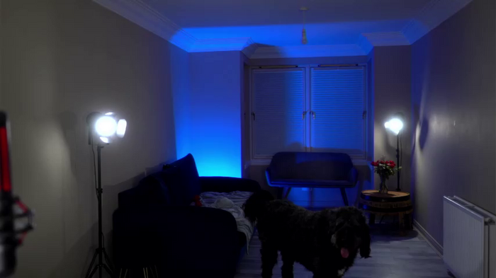 lucydelovely