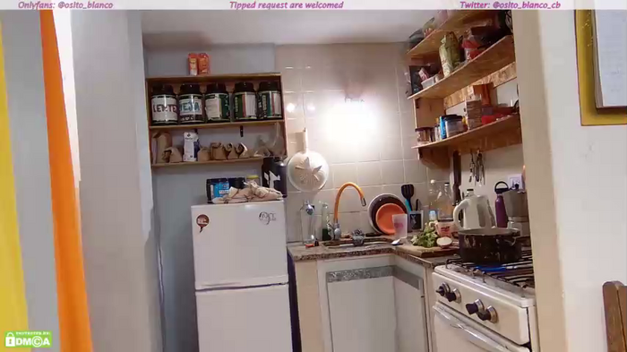 osito_blanco