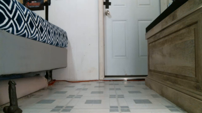 kitty2488