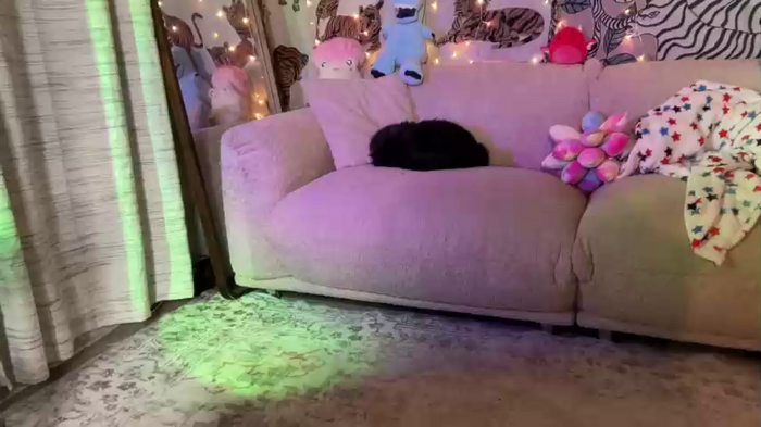ari_02