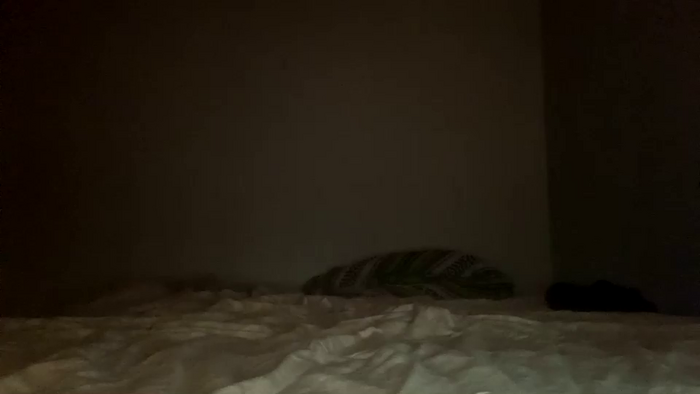 penutbuttajelllytime