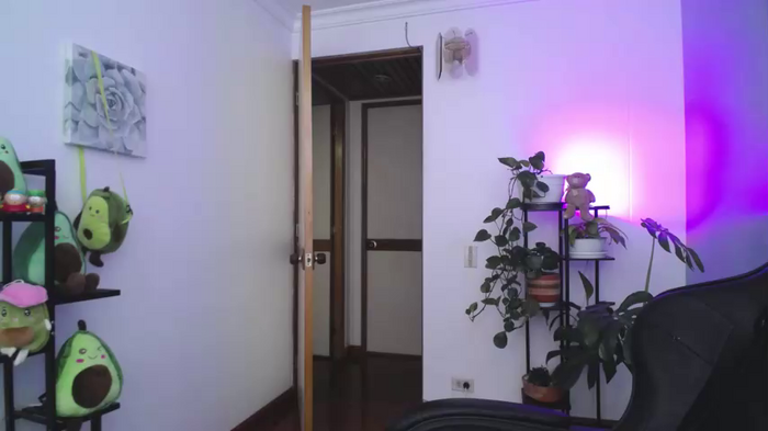 littlelaksmi