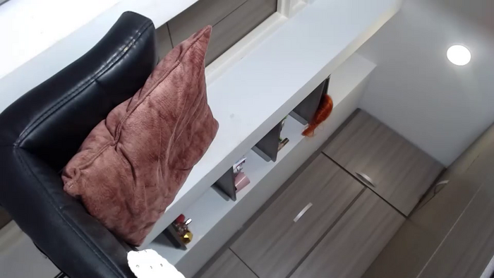 meli__cam1
