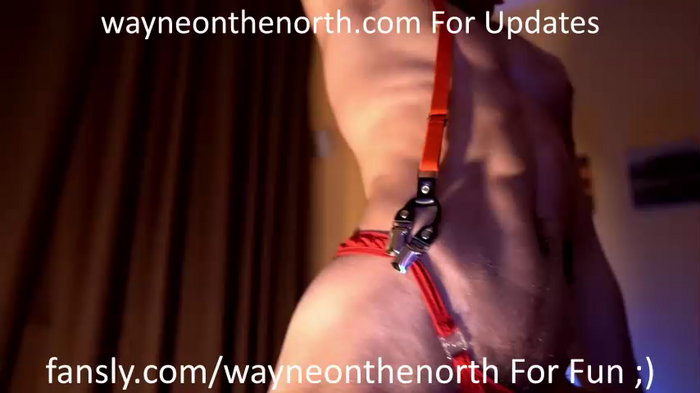 waynenorth