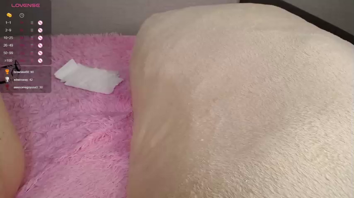 evafatcat