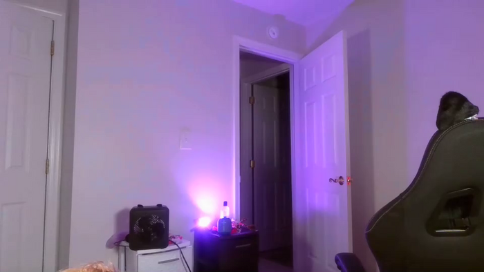 switchykitty