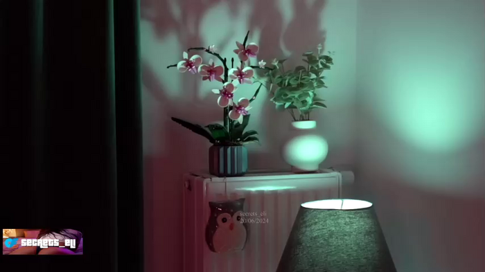 secrets_eli