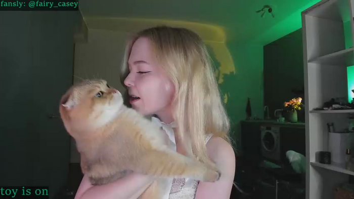 fairy_casey
