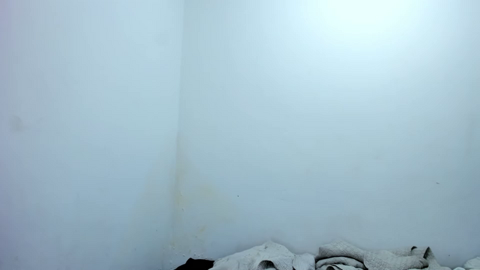 curvypornxxx