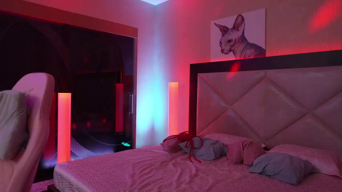 dreamgogo