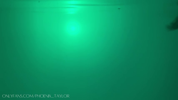 phoenix_taylor